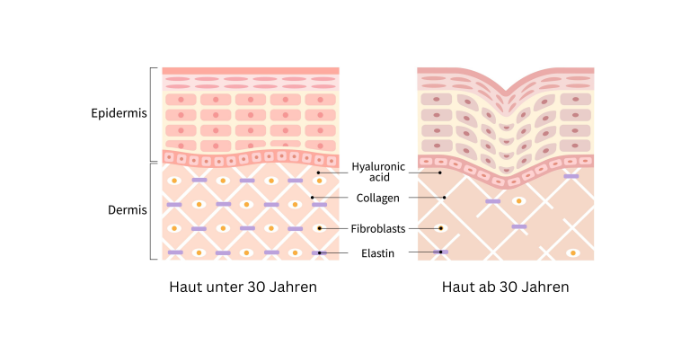 SGU Grafik für Sales Artikel